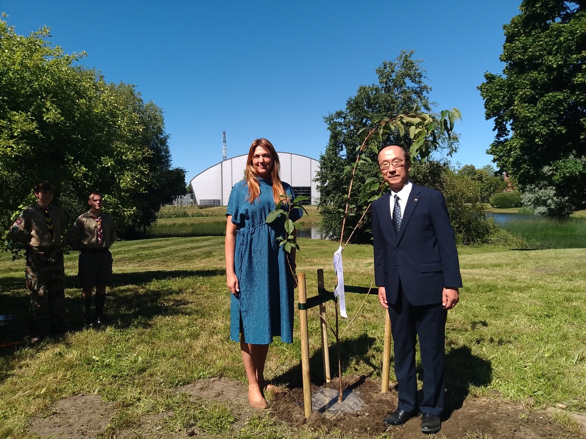 Commemorative Tree Planting